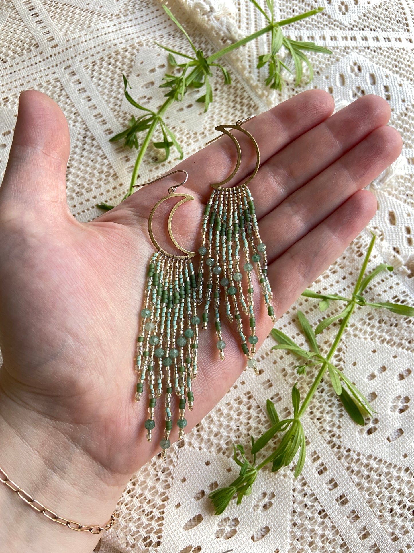 Fairy fern