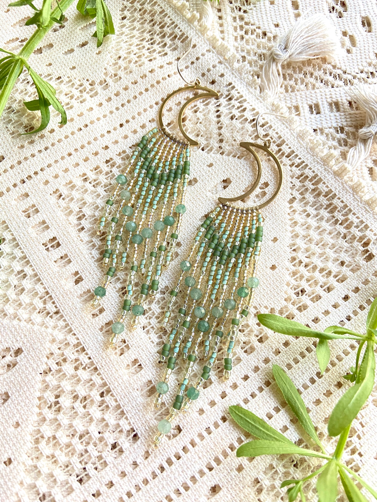 Fairy fern