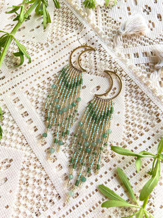 Fairy fern
